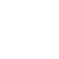 Onlineberatung Icon
