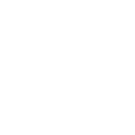 Videoberatung