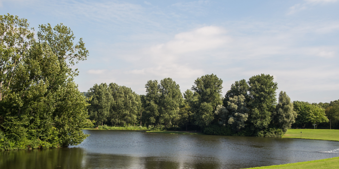 Lebensraum Spaziergang Rheinaue