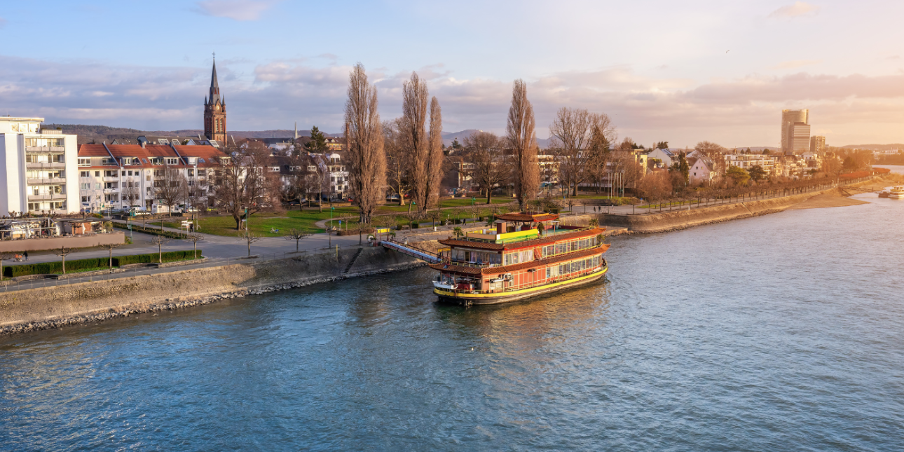 Lebensraum_Rheinspaziergang