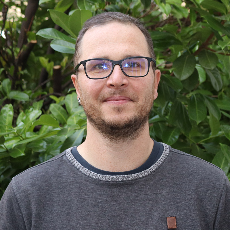 Manuel Noll-Ehlen