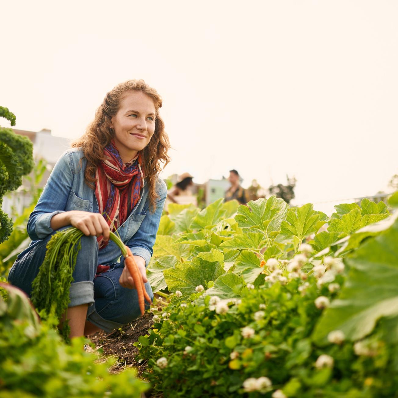 Ein Garten für die Seele - Bitte unterstützen Sie uns!