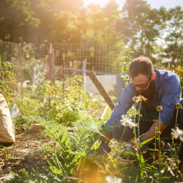 Ein Garten für die Seele - Bitte unterstützen Sie uns!