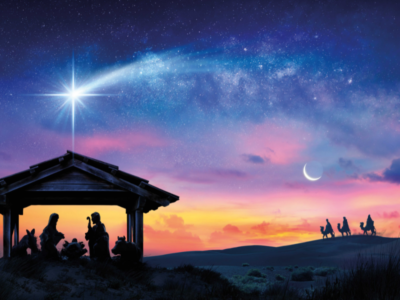 Endlich Wohnen_Projektseite_Weihnachten2023   (1920 × 600 px) (2)