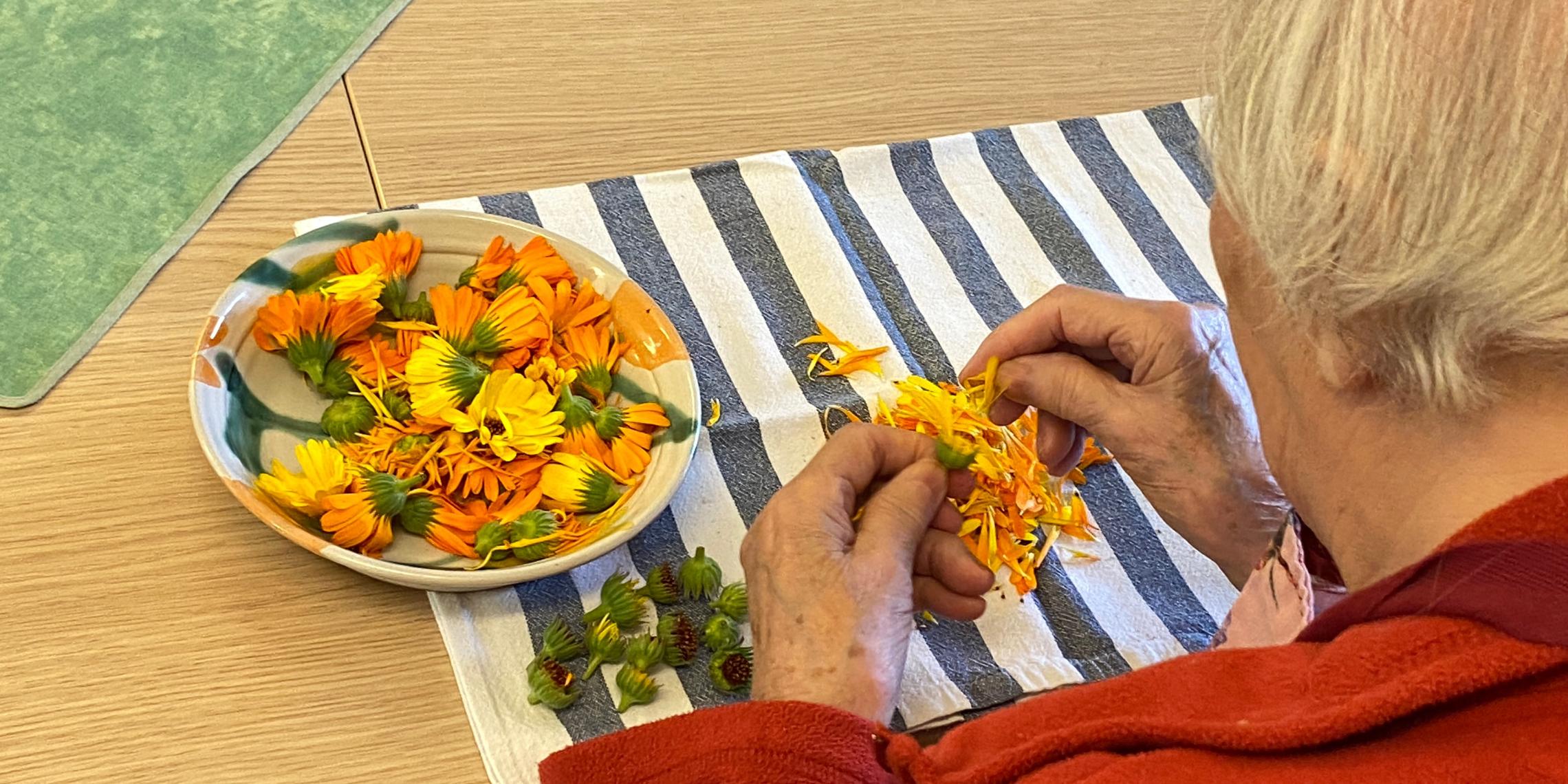 Gartentherapie_Ringelblumen