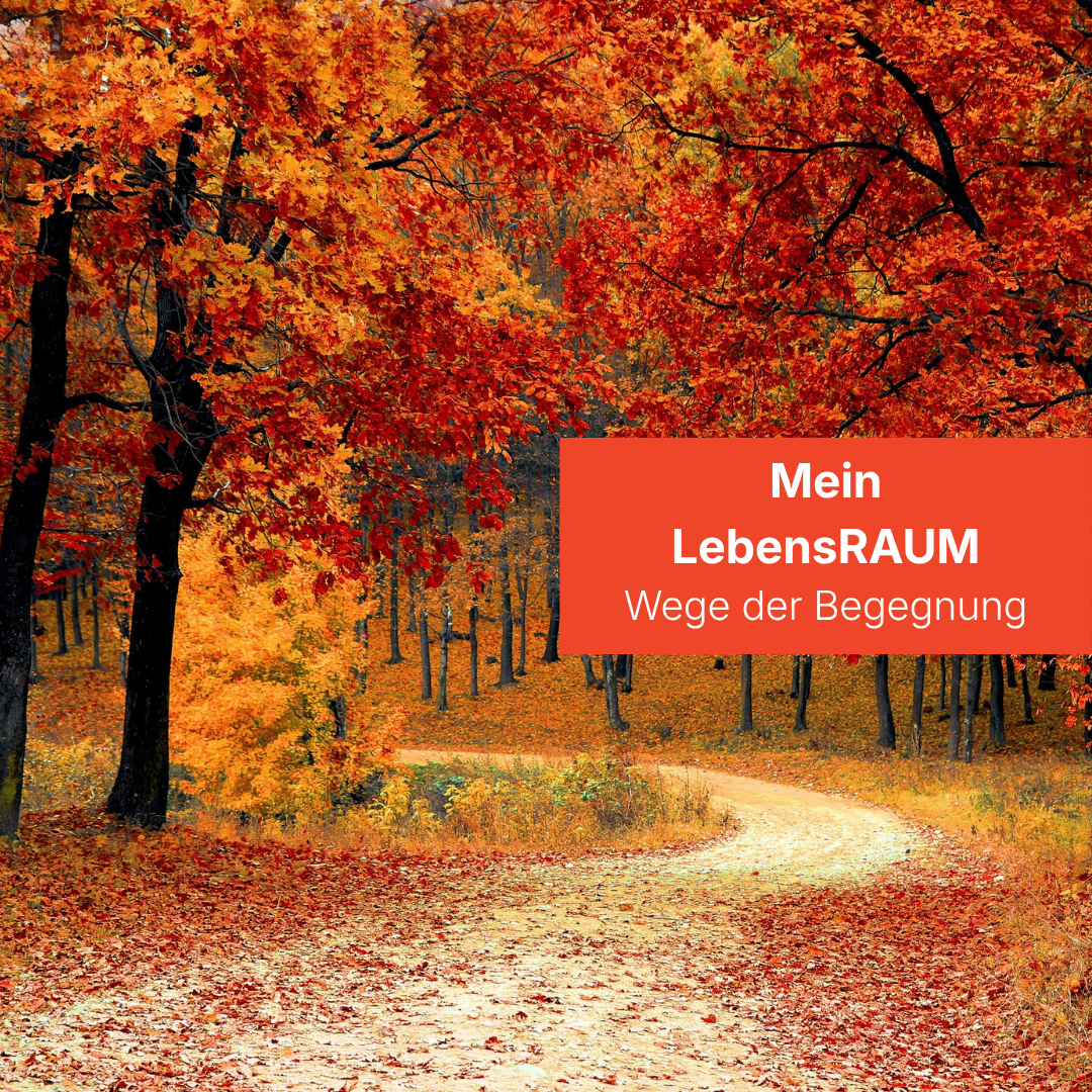 Lebensraum_Newsletter_News_Grafik
