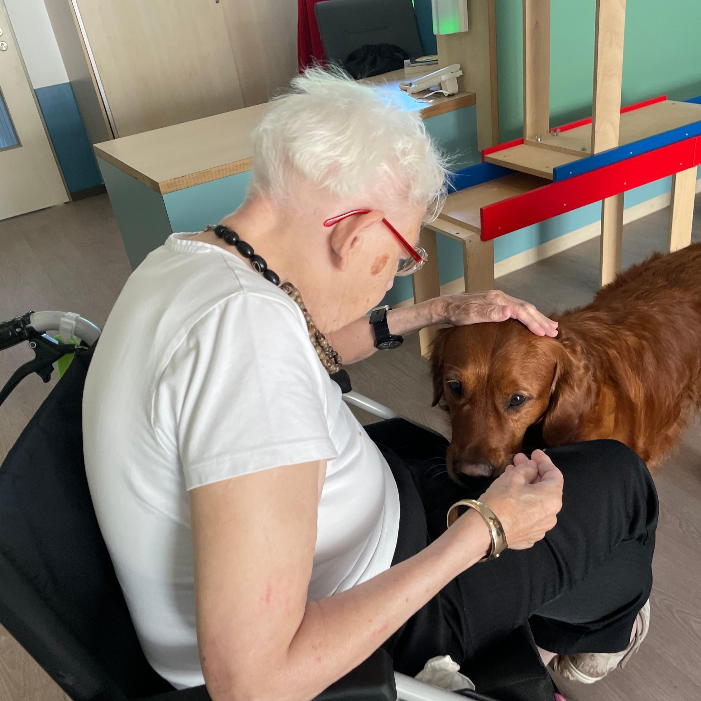 Therapiehund Oskar auf der Arbeit