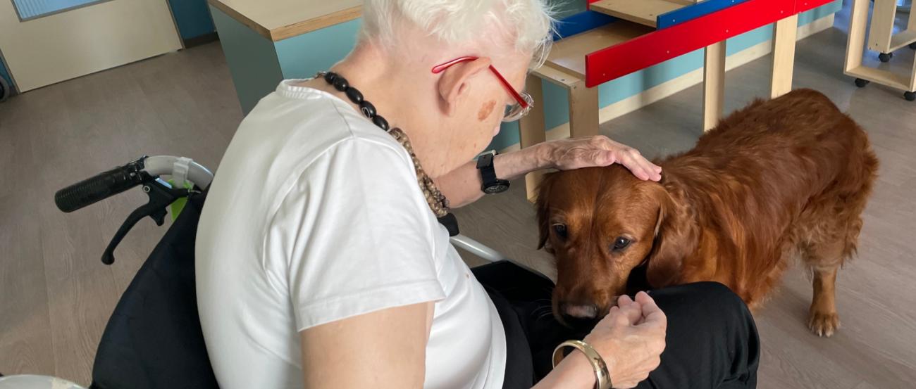 Therapiehund Oskar auf der Arbeit