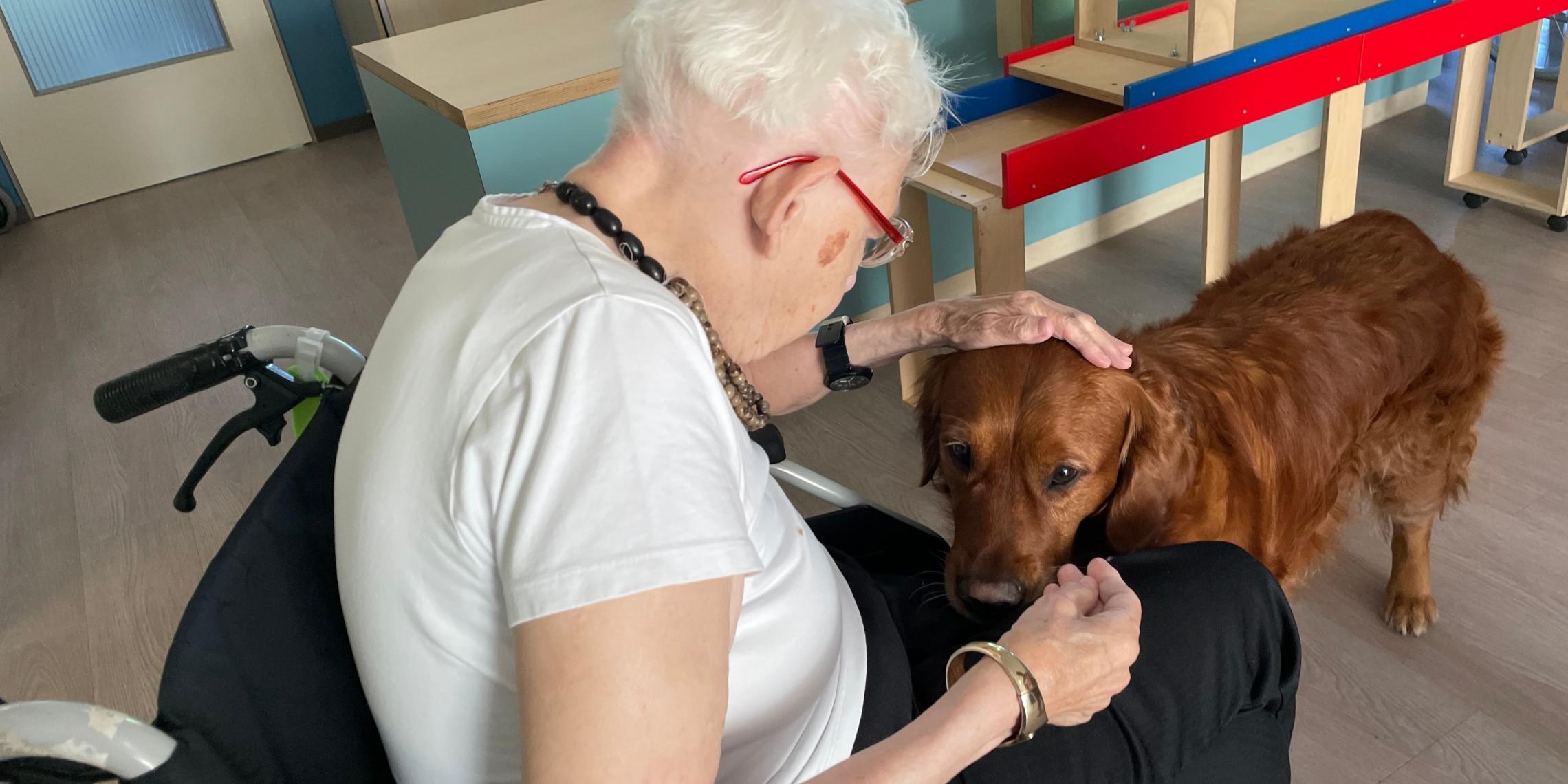 Therapiehund Oskar auf der Arbeit