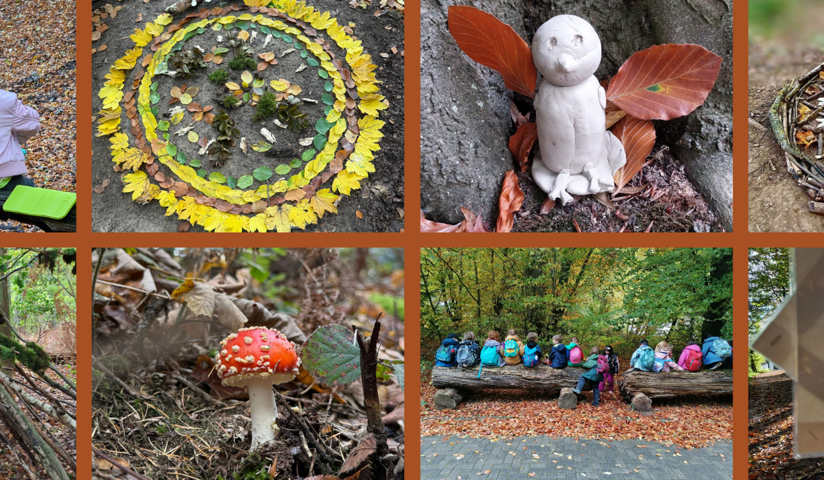 Wir gehen in den Wald