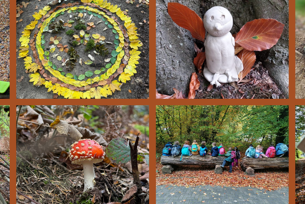 Wir gehen in den Wald