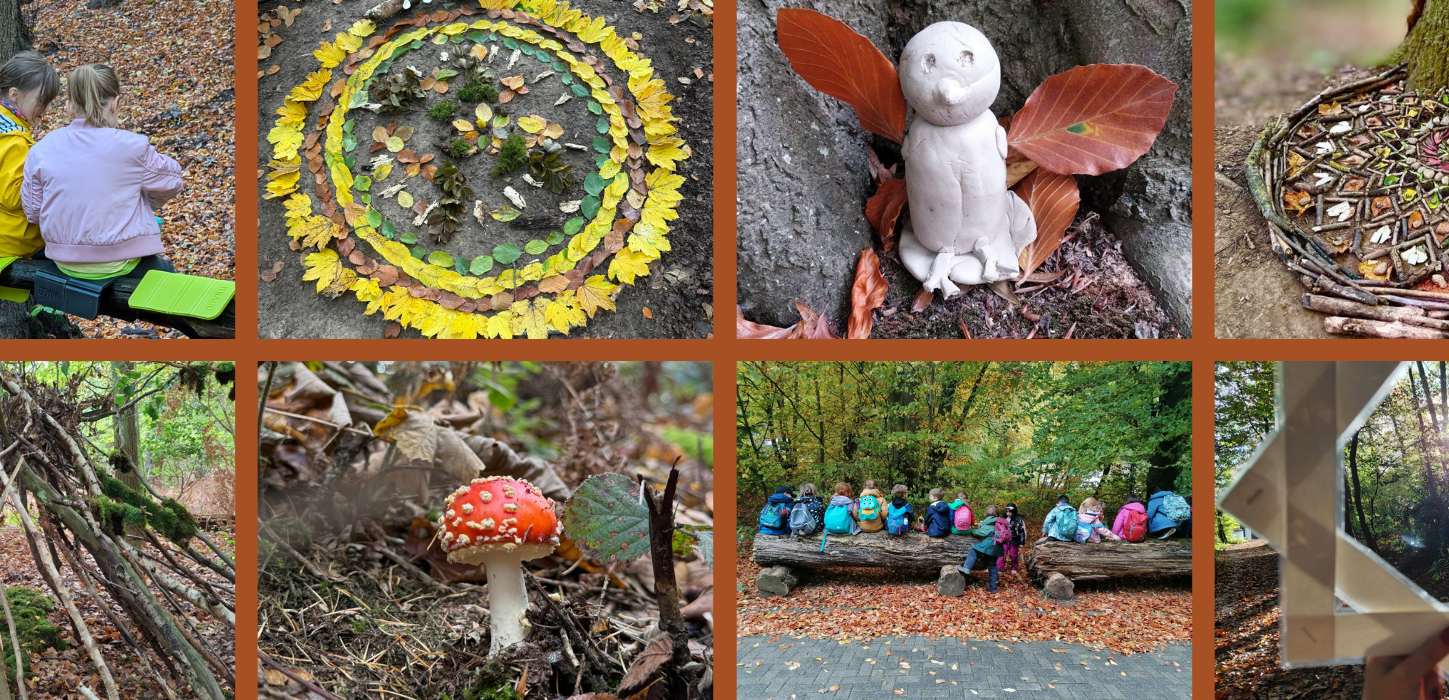 Wir gehen in den Wald